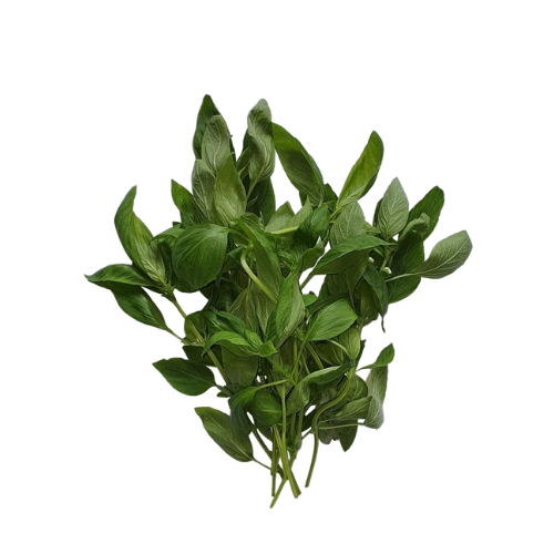 Sweet Thai Basil